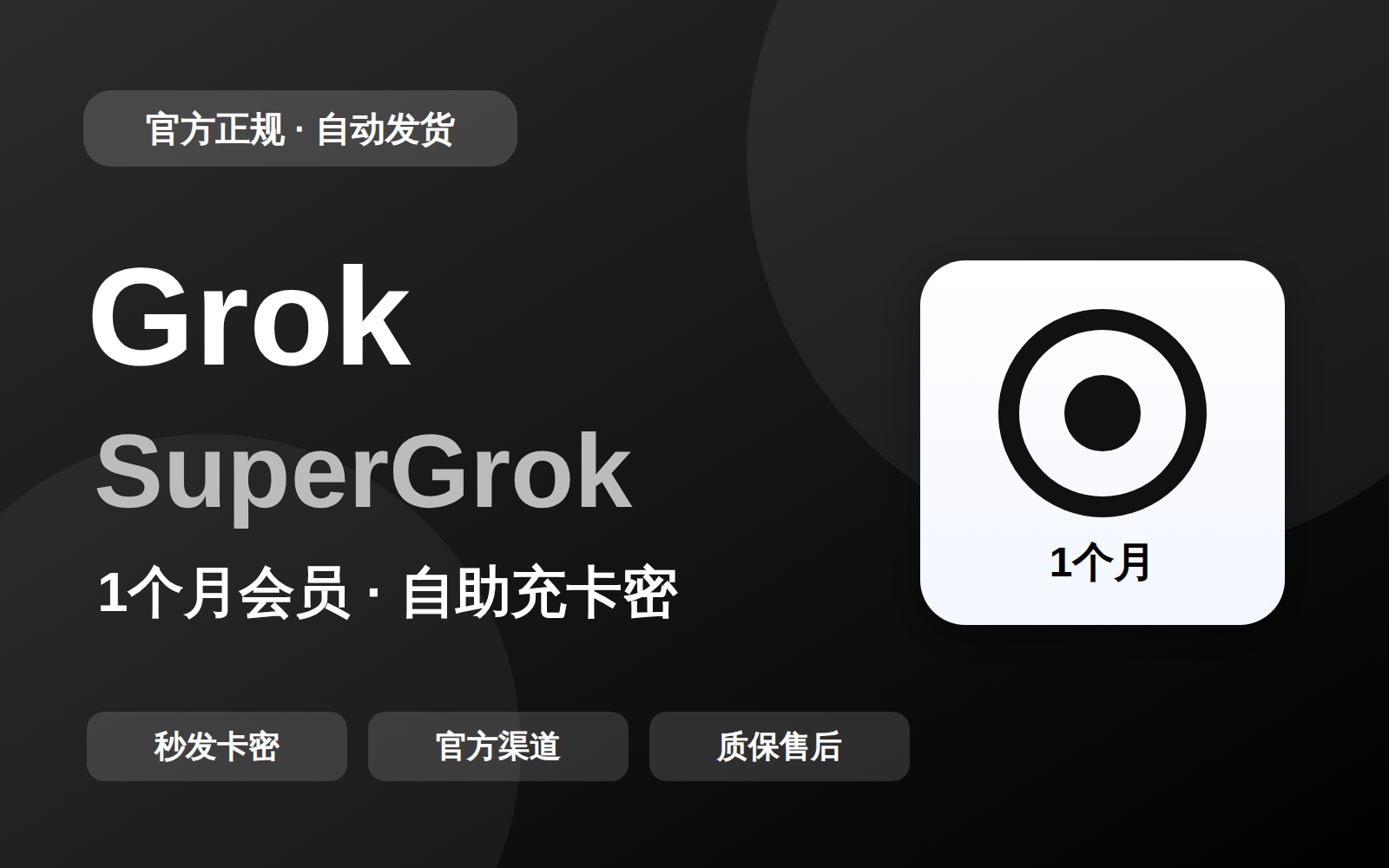 Grok自助充卡密（一个月）